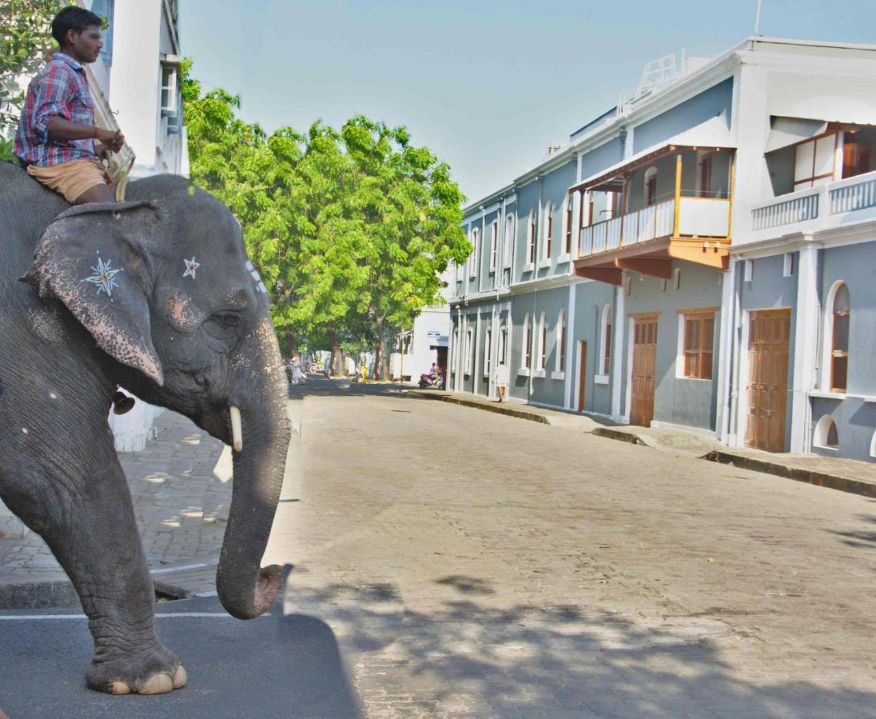 Patricia Guest House Pondicherry Bagian luar foto