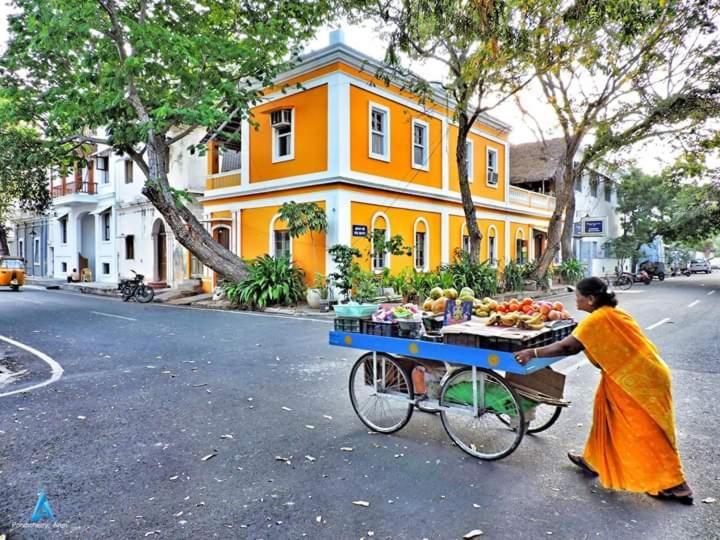 Patricia Guest House Pondicherry Bagian luar foto